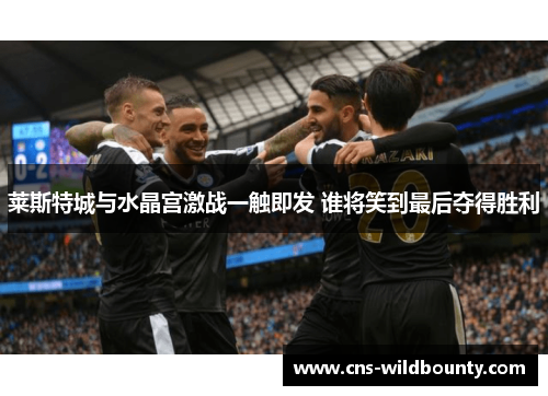 莱斯特城与水晶宫激战一触即发 谁将笑到最后夺得胜利