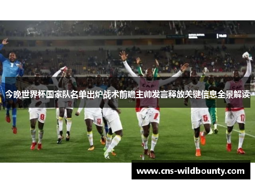 今晚世界杯国家队名单出炉战术前瞻主帅发言释放关键信息全景解读
