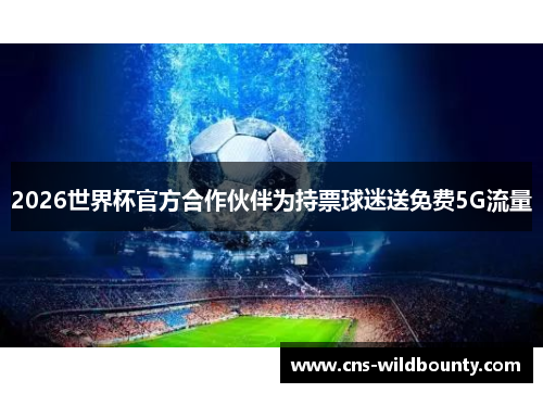 2026世界杯官方合作伙伴为持票球迷送免费5G流量