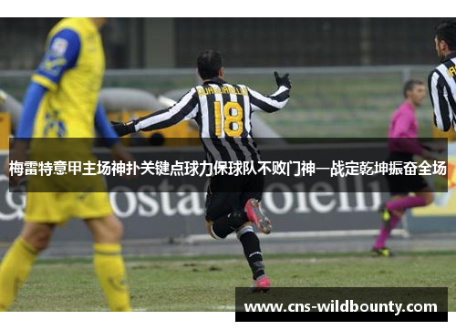 梅雷特意甲主场神扑关键点球力保球队不败门神一战定乾坤振奋全场 梅雷特意甲主场神扑关键点球力保球队不败门神一战定乾坤振奋全场