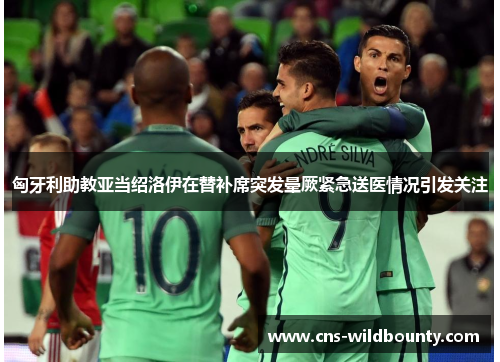 匈牙利助教亚当绍洛伊在替补席突发晕厥紧急送医情况引发关注
