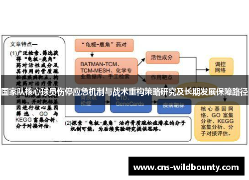 国家队核心球员伤停应急机制与战术重构策略研究及长期发展保障路径