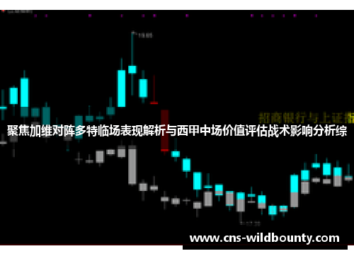 聚焦加维对阵多特临场表现解析与西甲中场价值评估战术影响分析综