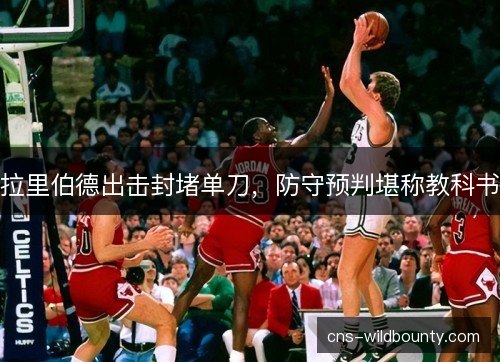 拉里伯德出击封堵单刀,防守预判堪称教科书 拉里伯德出击封堵单刀,防守预判堪称教科书